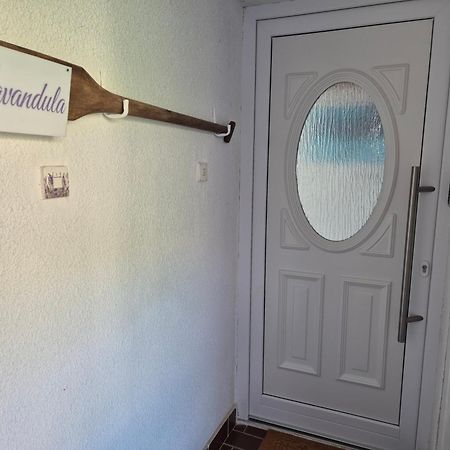 Lavandula Labin  Eksteriør billede