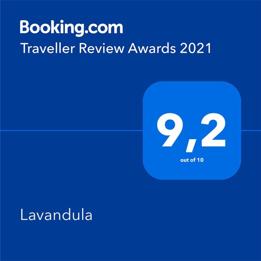 Lavandula Labin  Eksteriør billede