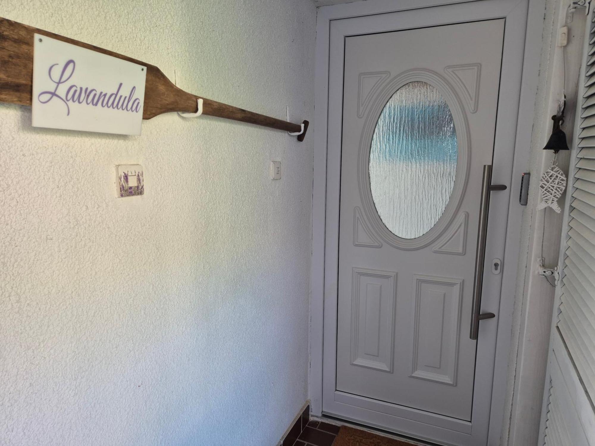 Lavandula Labin  Eksteriør billede